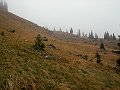 PICT0061
