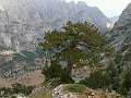 PICT0340