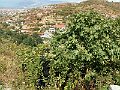 PICT0374