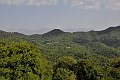DSC_0317