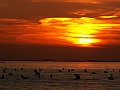PICT0281